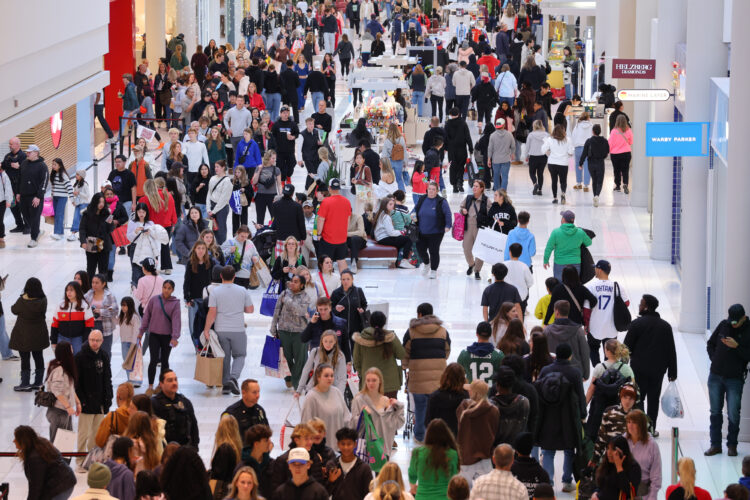 Shoppers hit Black Friday sales
